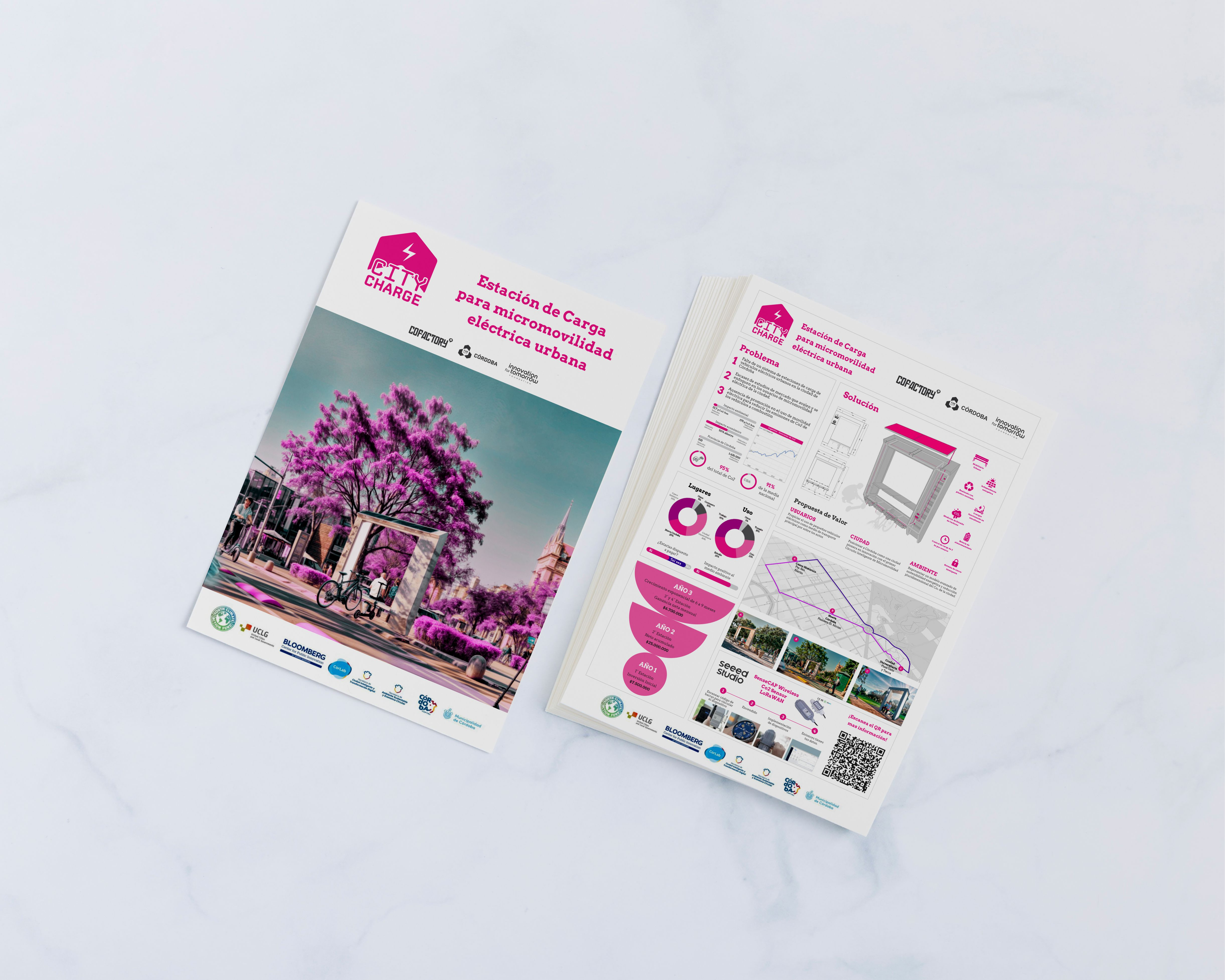 Example of Flyer   Brochure Design To Boost Brand