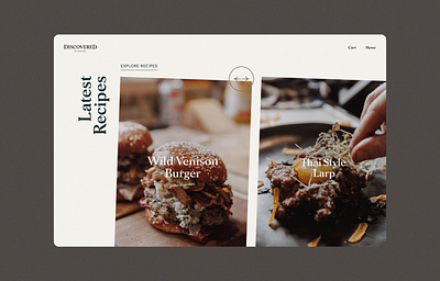 Discovered Wildfoods - Recipes design ui web website