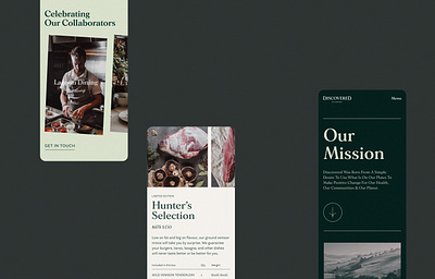 Discovered Wildfoods - Mobile design ui web website