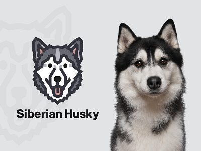 Siberian Husky Dog Logo vector