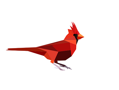 Cardinal branding design illustration