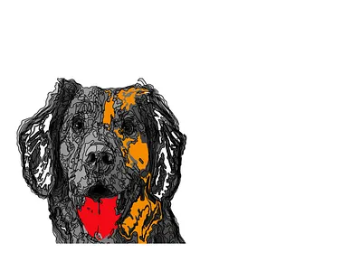 Graphic Design branding creative design illustration vector