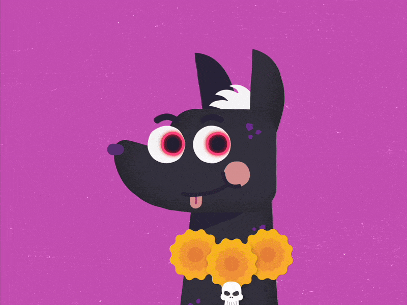 Xoloitzcuintle aftereffects animation dia de muertos gif illustration motion graphics vector xolo