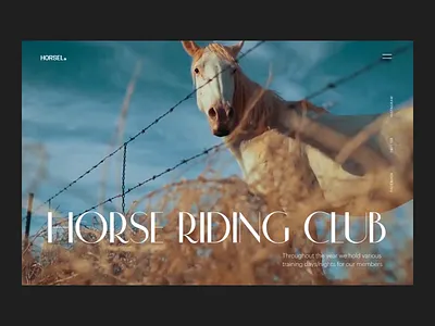Horse Riding Club Website design design studio graphic design horse interaction interface riding ui user experience ux web web design web marketing website design