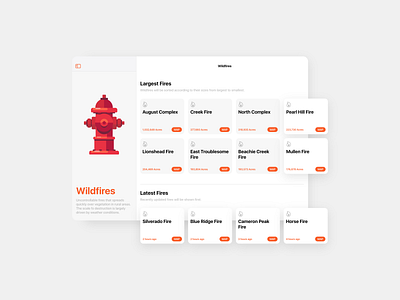 Blaze - Fires iPad adobe xd branding design flat ios ipad ui wildfire