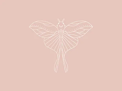 Moth adobe illustrator illustration lineart minimal moon moth pink vector