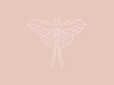 Moth adobe illustrator illustration lineart minimal moon moth pink vector