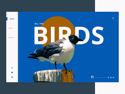 Bird Discovery Website 2 bird birds design flat minimal minimalist ui user interface user interface design web website website concept website design