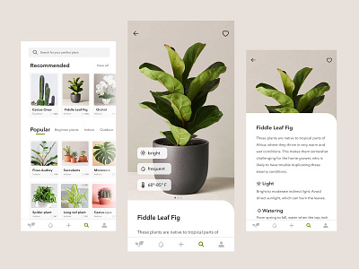 Plantovers - concept app app figma kazakhstan plant ui ux