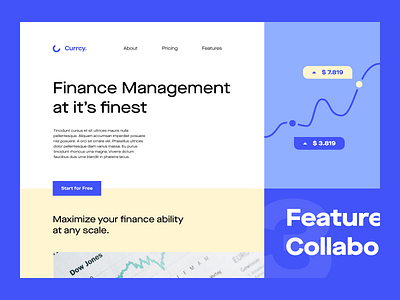 Finance Management Platform finance landing page management money sales tax ui ux web design website