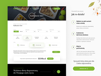 Dieta Premium - Zdrowa Dieta Catering application catering catering app design diet diet app food food app landing page landingpage shop ui user experience user inteface