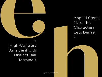 Quiche Font Family branding classic font download font elegant font font font design font family fonts graphic design high contrast lettering modern font retro font sans serif serif font terminals typeface typefaces typography vintage font