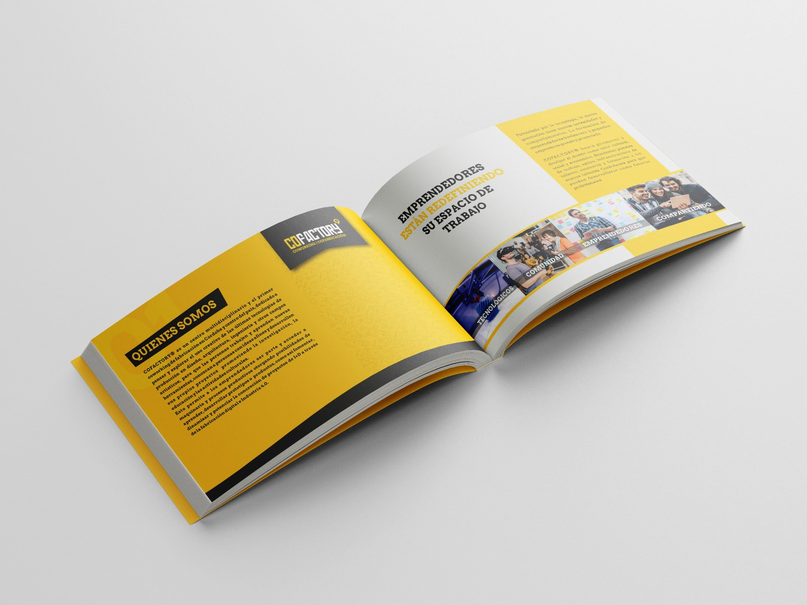 Example of Pdfs, Ebooks, Catalogs & Manuals