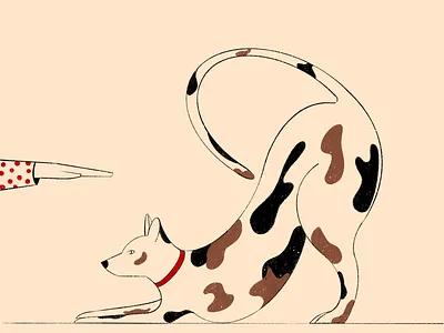 good boy character character design dog flat graphic illustration illustration art procreate