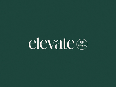 Elevate 🌿⬆️ | Unused Concept arrow brand branding design elegant elevate geometric life logo logo design medical medicine modern new pain serif simple therapy up