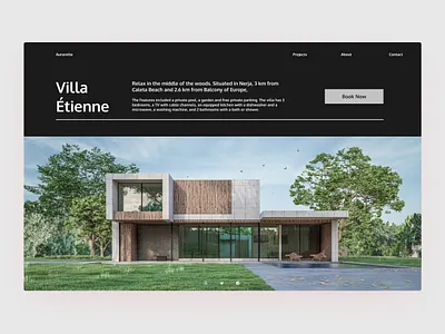 Aurorette Conceptual Web Design web web design webdesign website website app website builder website concept website design website design company website designer website designing website development websites