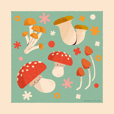 Mushroom autumn cottagecore cute design digital digital illustration fairy fall icon illustration mushroom mushrooms robin sheldon