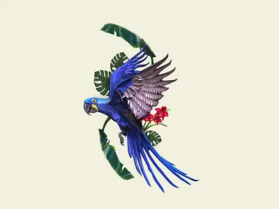 AMAZONIKA AUXILIARY GRAPHIC ELEMENTS branding design drawing illustration jungle leaf orchid palm photoshop