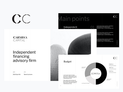 Carmina Capital branding finance identity logo presentation