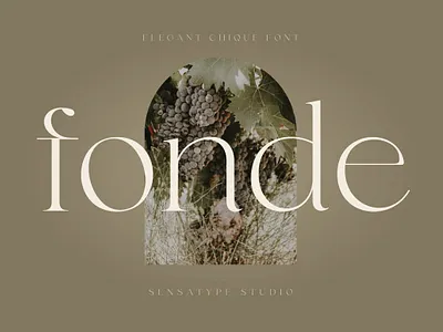 Fonde - Elegant Font chic classic font display font elegant font font font design fonts graphics lettering logo font logo fonts modern font retro font serif font typeface typeface design typeface designer typefaces typography vintage font