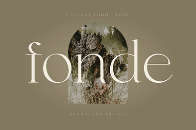 Fonde - Elegant Font chic classic font display font elegant font font font design fonts graphics lettering logo font logo fonts modern font retro font serif font typeface typeface design typeface designer typefaces typography vintage font