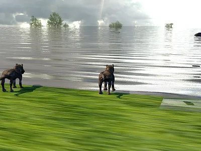 Shark Horror Movie Scene Part Of My Movie “Love Us” 3d animation 3d art 3d film 3d movie