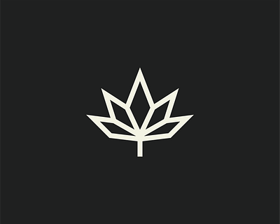 Cani Leaf branding design graphic design heap icon icon icon design iconography logo logo design logo marks monogram symbol typography