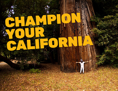 California State Parks Foundation branding design graphic design illustration logo nonprofit typography website