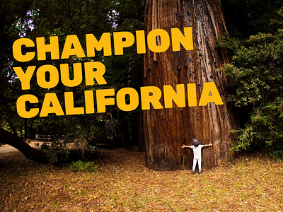 California State Parks Foundation branding design graphic design illustration logo nonprofit typography website