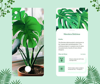 Plant App - Identify By Snap app app design application mobile app mobile app design mobile ui plant plant app plantmobile plantmobileappdesign plantui plantuidesign ui ui ux uidesign uiuxdesign