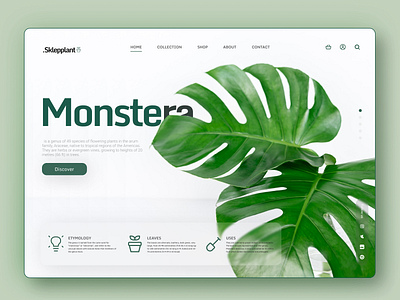 .Sklepplant Landing Page daily design desktop details dribbble green landingpage monstera plants shop shot ui uiux user userexperience userinterface ux web webpage website