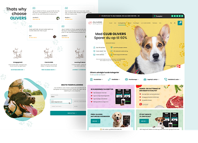 Dog food online store design ecommerce shop ui web website