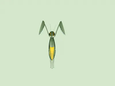 Y alphabet animal character happy illustration mantis mexico photoshop sticker