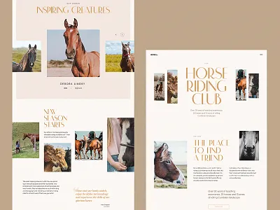 Horse Riding Club Website Design design design studio graphic design hobby horses interaction interface outdoors races riding sports ui user experience ux web web design web marketing web pages website website design