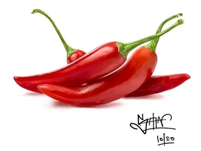 Red Chilli Peppers digitalart digitalpainting drawing hyperrealism illustrations realism realistart