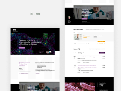 FMI institute design interface interface design landing page minimal ui visualdesign web webdesign website