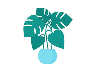 Day 320 - 366 Days of Illustration Challenge - MintSwift cheese plant digital illustration flat design flat illustration flatdesign house plant illustration illustrations illustrator leaf leaves mintswift monstera monstera deliciosa plant plants potted plant swiss cheese plant vector vector illustration