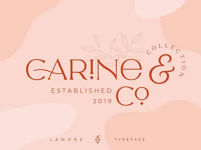 The Paris Lamore Sans & Script Typeface branding classic font design display font elegant font font font design fonts graphic design graphicdesign lettering logo font logo fonts modern font retro font serif font typeface typefaces typography vintage font