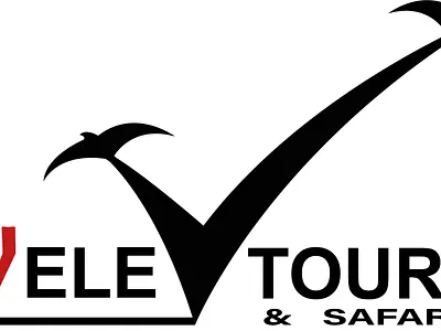 Tour & Travels Logo creative logo crypto design logo logo design tourism tourists tours uiux xd xsmb