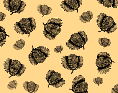 raw pumpkin pattern autumn flat graphic illustration illustration art pattern procreate pumpkin sketch texture