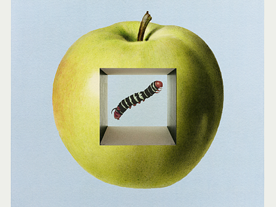 WORMHOLE apple caterpillar color design food fruit graphic green hole illustration print worm