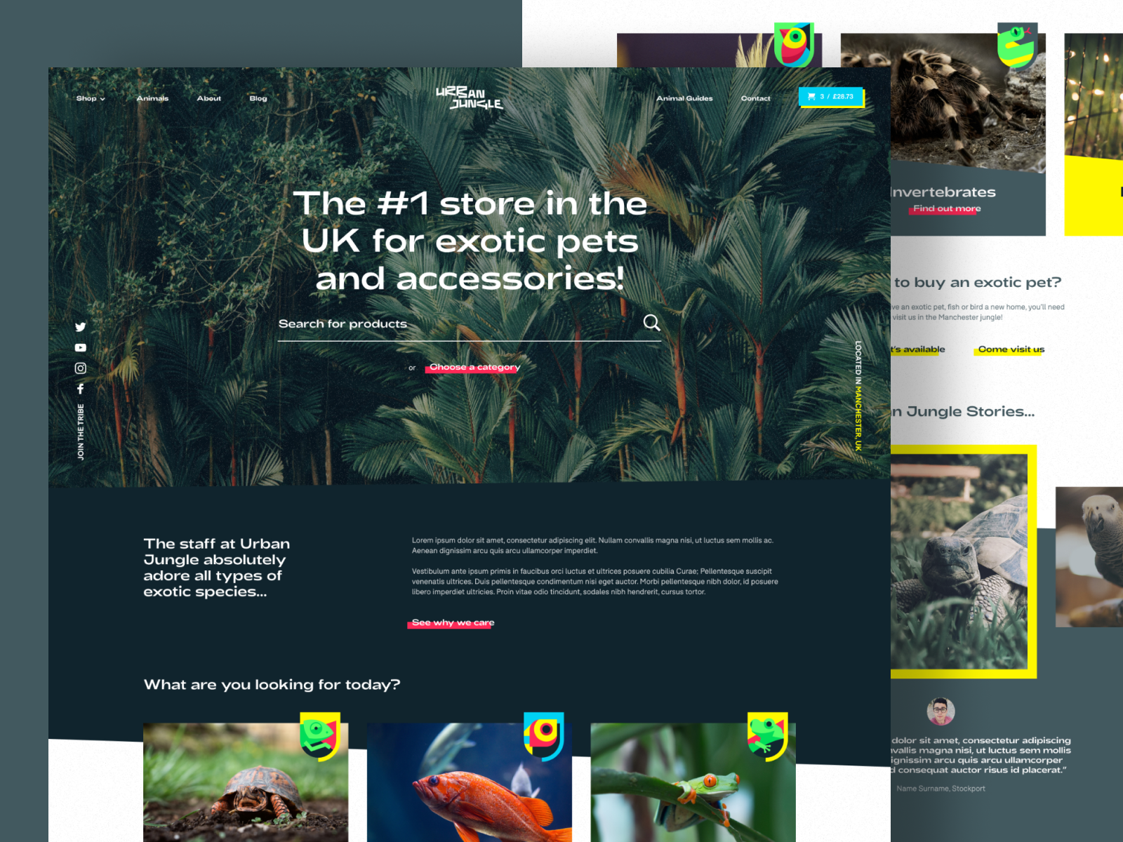 Example of Website Design (UX/UI   Responsive)