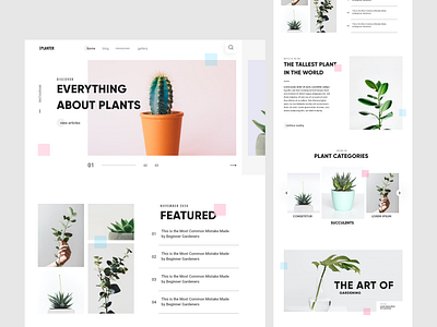 Minimal Plant Blog article blog clean concept grid landing layout minimal news plant plants ui web web design website