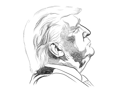 Donald trump business illustration design digital art digital illustration donaldtrump graphic design illustration minimalist pen and ink portrait sketch