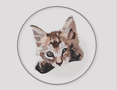 Kitty animal animals app art cat cats design dog drawing gato illustration illustrator inspiration minimal ui uidesign ux uxdesign