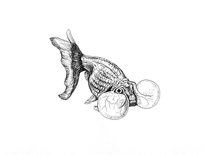 fancy fish art artwork drawing illustraion illustration illustrator ink