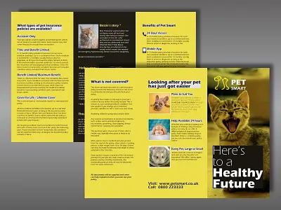 Petsmart design typography