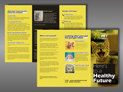 Petsmart design typography