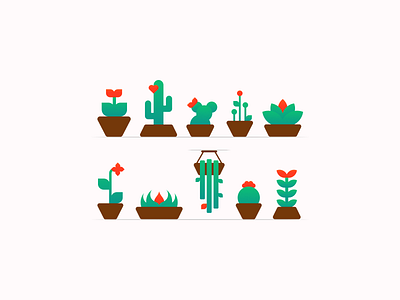 Succulent concept icon illustration plant vector