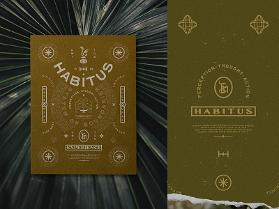 HABITUS branding brandinginspiration design designinspiration graphicdesign illustration labeldesign organic packaging typography